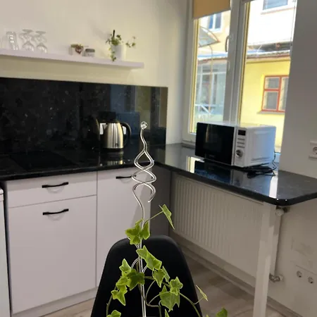 Center Avenue 23 Appartement Lviv