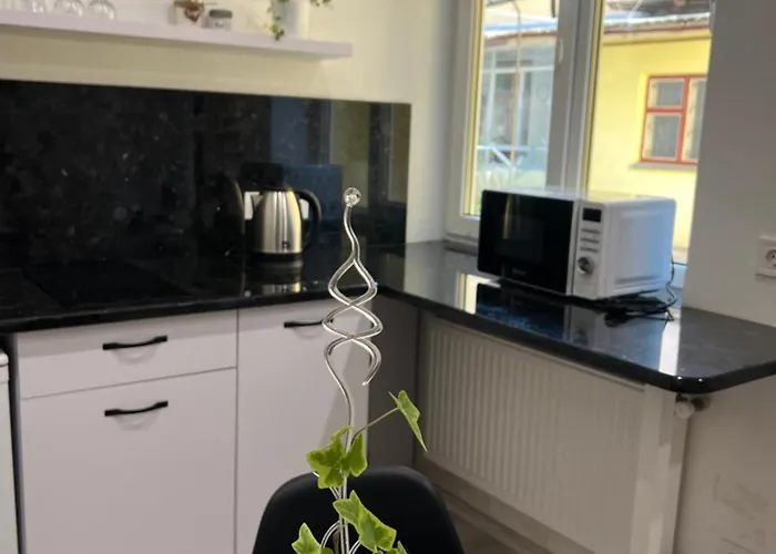 Center Avenue 23 Apartment Lviv